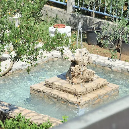 Pool House Maslina *