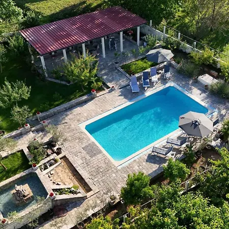 Pool House Maslina *