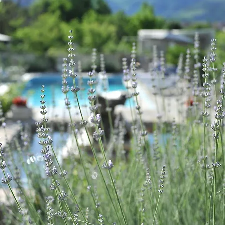 Pool House Maslina Appartement *