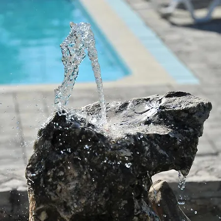 Pool House Maslina *