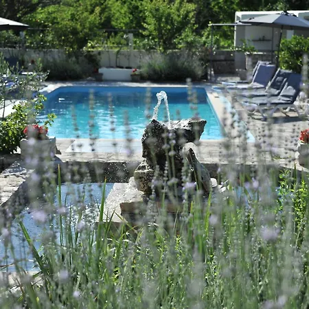 Pool House Maslina