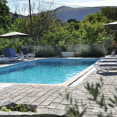 Pool House Maslina Apartment