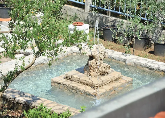 Pool House Maslina *