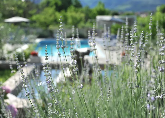 Pool House Maslina Apartment *